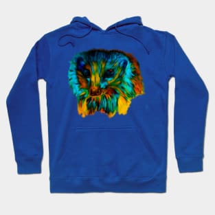 hedgehog lover rainbow hedgehog Hoodie